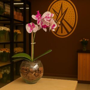 Orquídea no Aquário